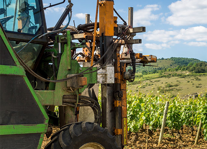 Éclaircissage et taille mécanique à Chenu, Durtal et Saumur