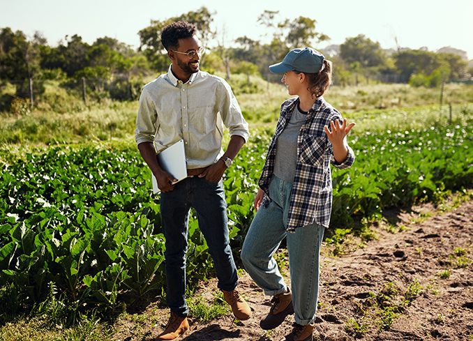 Atomiseur arboricole et Viticulture dans la Sarthe